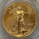 2007 American Eagle, 1/2 Ounce Gold Coin, 1 Each