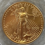 2002 American Eagle, 1/2 Ounce Gold Coin, 1 Each