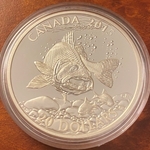 2015 Canada 20 Dollars - Elizabeth II Walleye