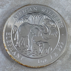 2007 100 Shillings Elephant, 1 oz Ag 999, Somalia