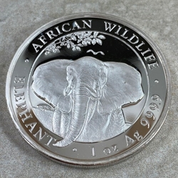 2021 100 Shillings Elephant, 1 oz Ag 999, Somalia