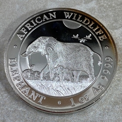 2022 100 Shillings Elephant, 1 oz Ag 999, Somalia