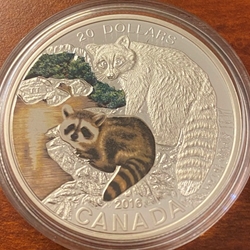 2016 Canada 20 Dollars - Elizabeth II Raccoon