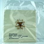 U.S. Army, ROTC Nurse Cadet Program