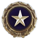 Decoration (Lapel Button), Gold Star