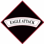 3rd Battalion, 101st Aviation Regiment "Eagle Attack"(♦)