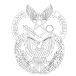Badge, Identification, Staff, Inspector General, U.S. Air Force, MIL-DTL-3628/261