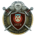 2nd Brigade Special Troops Battalion, Gladiators
