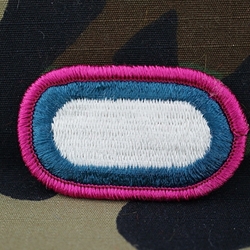 311th Military Intelligence Battalion, A-6-1