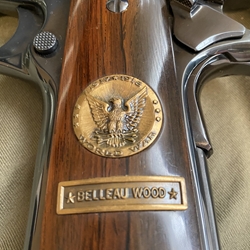 Colt Commemoratives 1911