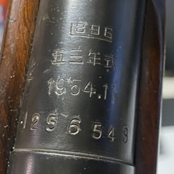 Chinese Model 53