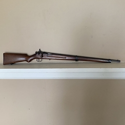Savage Arms
