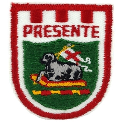 Beret Flash, Headquarters, Puerto Rico Army National Guard, A-4-00, Cut Edge