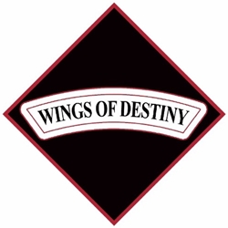 101st Combat Aviation Brigade