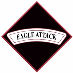 3rd Battalion, 101st Aviation Regiment