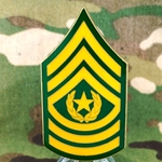 25th Aviation Regiment, 1st Battalion (Attack), CSM