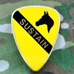 1st Cavalry Division, Assistant Division Commander, Support