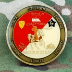 1st Cavalry Division, 9th Cavalry Regiment, C, 4th Battalion