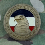 U.S. Army Forces Command (FORSCOM), Command Sergeant Major (CSM)
