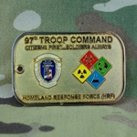 97th Troop Command