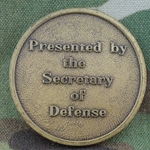 Department of Defense Secretary of Defense, Interim