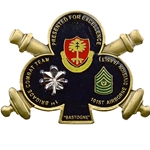 101st Airborne Division (Air Assault), 320th Field Artillery Regiment, "Balls of the Eagle" (♣), 2nd Battalion