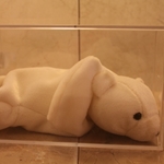 Chilly, Polar bear, 04012, 1st Generation, Type 1, 1st Tush Tag