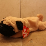 Pugsly, 4th Gen Swing Tag, 3rd Gen Tush Tag, 1996©, PVC