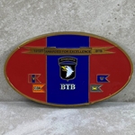 101st Brigade Troops Battalion, "One Team One Fight", Type 4