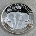 2021 100 Shillings Elephant, 1 oz Ag 999, Somalia