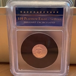 2008 1/10 oz American Platinum Eagle Coin