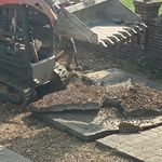 Pool House July 2024 Start Removing Old Pads