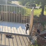 Pool House July 2024 Start Removing New Walls