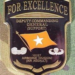 101st Airborne Division (Air Assault) ADC Operations