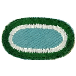 Patch, 101st Airborne Division Without Tab, Color