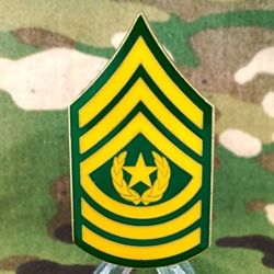 25th Aviation Regiment, 1st Battalion (Attack), CSM