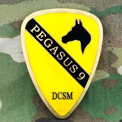 1st Cavalry Division, Division Command Sergeant Major (DCSM)