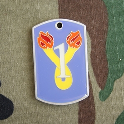 Challenge Coin, 1st Battalion 196th Infantry Combat Team