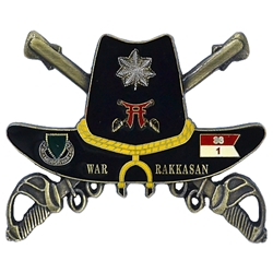 101st Airborne Division (Air Assault), 33rd Cavalry Regiment "Men of War", 1st Squadron