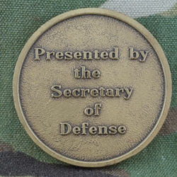 Department of Defense, Secretary of Defense, Interim