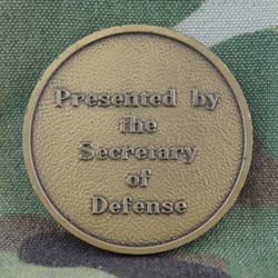 Department of Defense, Secretary of Defense, Interim