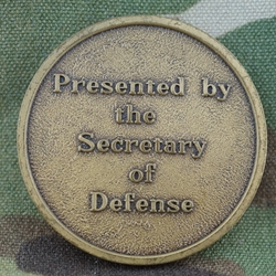 Department of Defense Secretary of Defense, Interim
