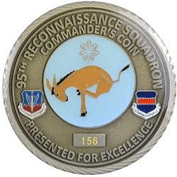 95th Reconnaissance Squadron, #156