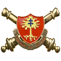 101st Airborne Division (Air Assault), 320th Field Artillery Regiment, "OEF X-XI" (♣), 2nd Battalion