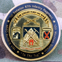 1st Battalion, 87th Infantry Regiment, 10th Mountain Division (LI), Type 2