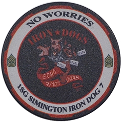Echo Company, 7th Battalion, 101st Aviation Regiment, (▲), Type 1