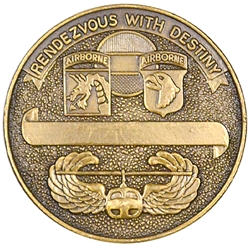101st Airborne Division (Air Assault), Desert Storm 1991, Type 1