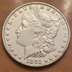 1880 Morgan Silver Dollar