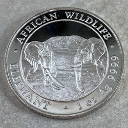 2020 100 Shillings Elephant, 1 oz Ag 999, Somalia