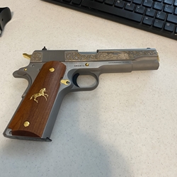 Colt 1911 ERS Stainless Spirit of America Edition, TALO, .45 ACP 1 of 491, ERS073